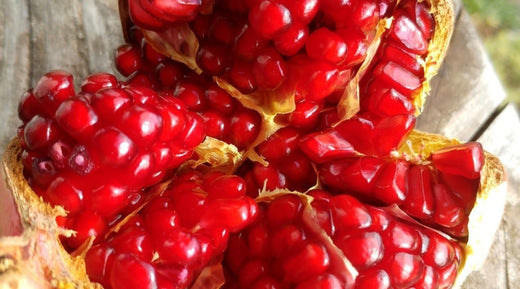 Punica Granatum (Grenade)