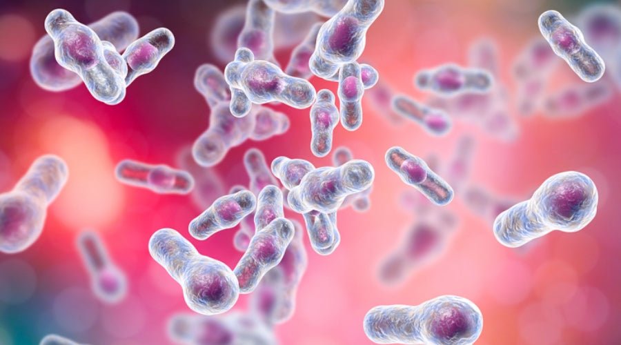 Prébiotiques Biolex® - besti