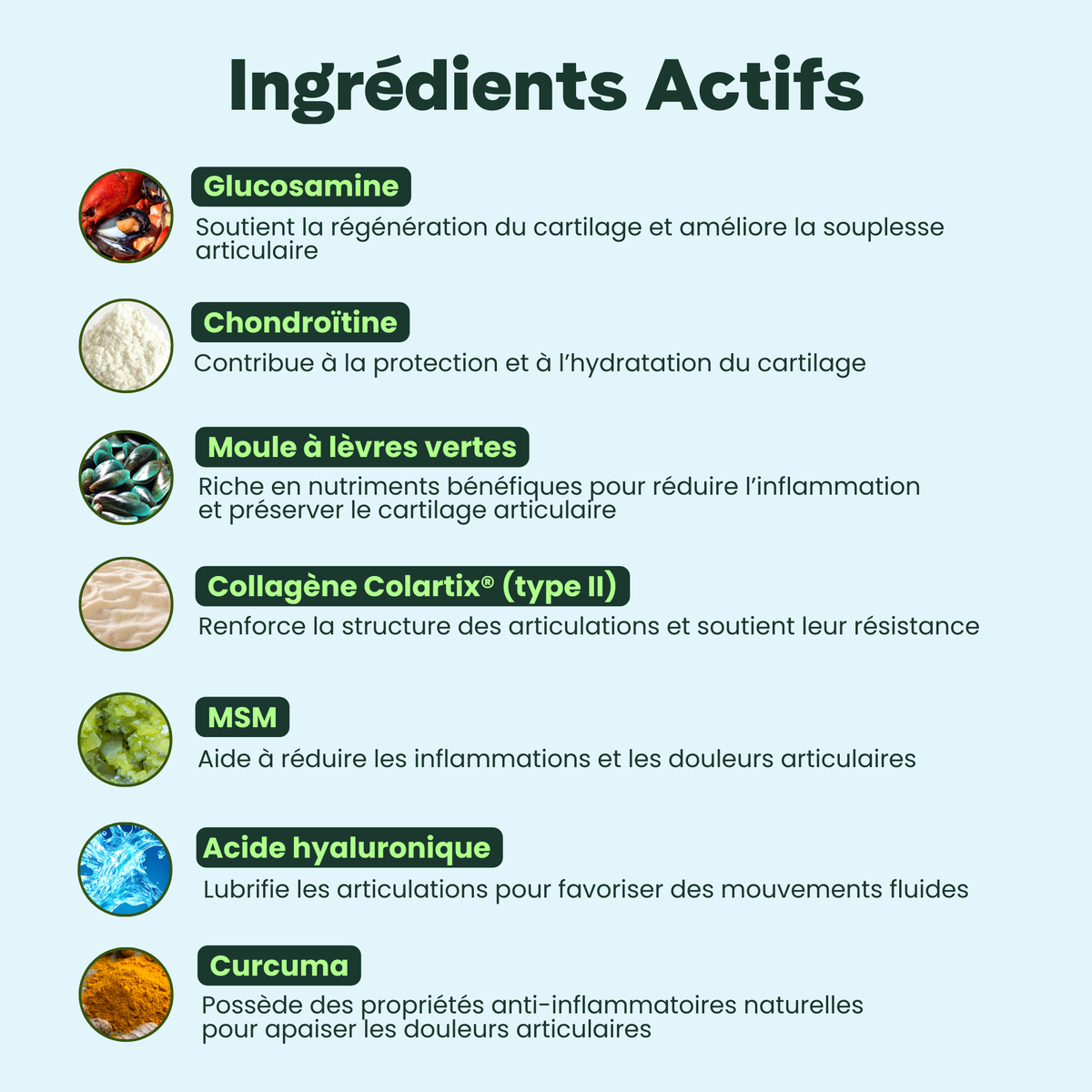 Articulations