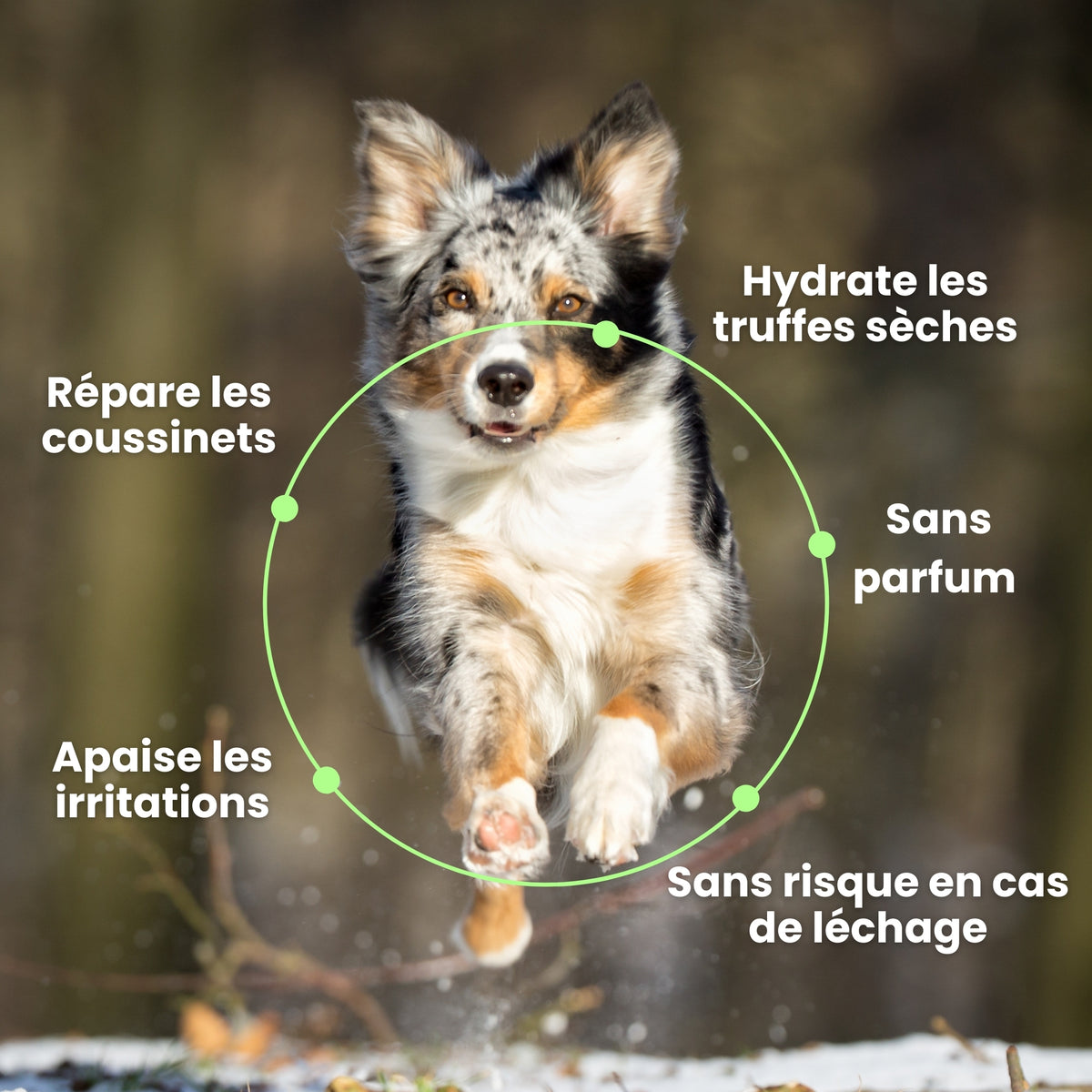 Baume Réparateur & Protecteur