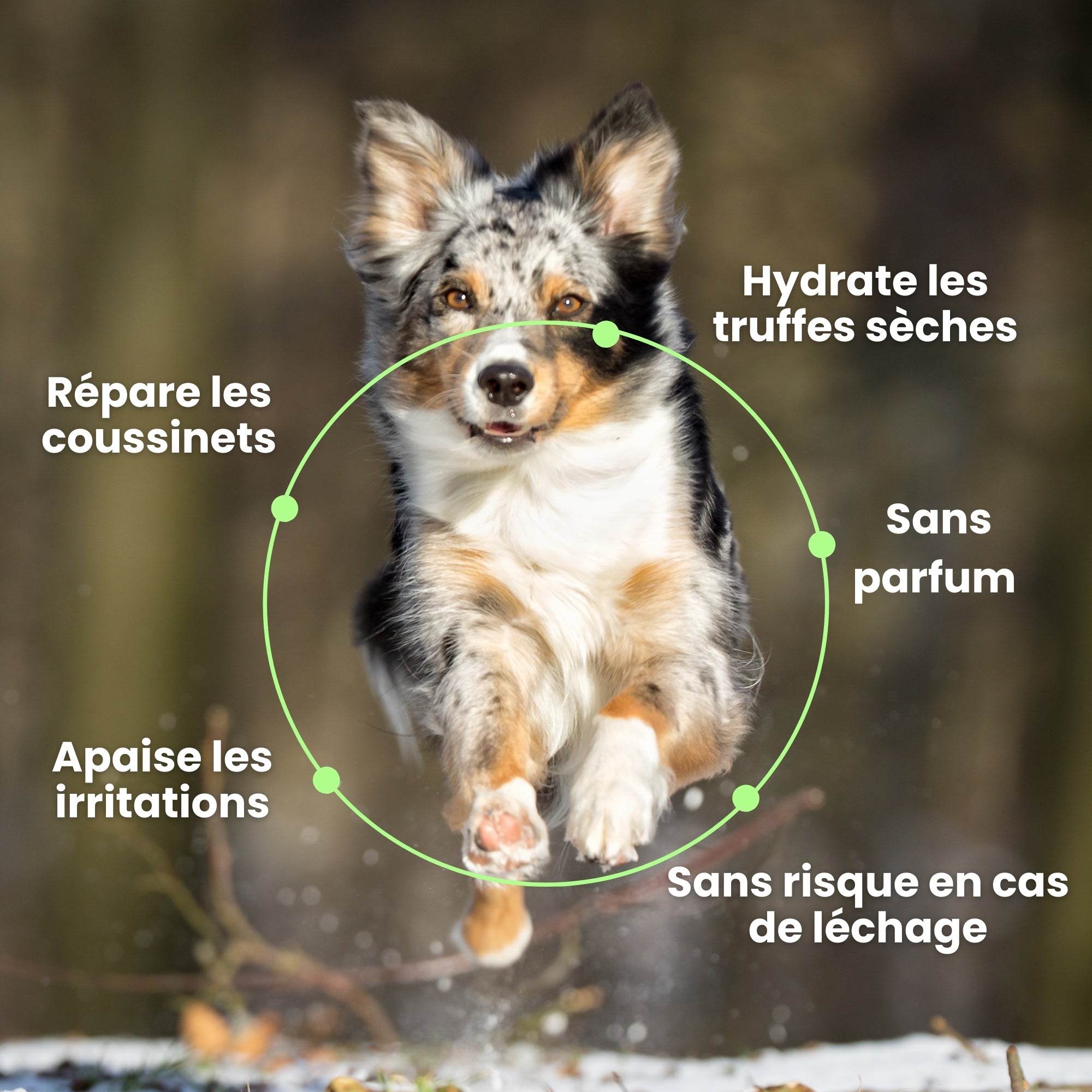 Baume Réparateur & Protecteur