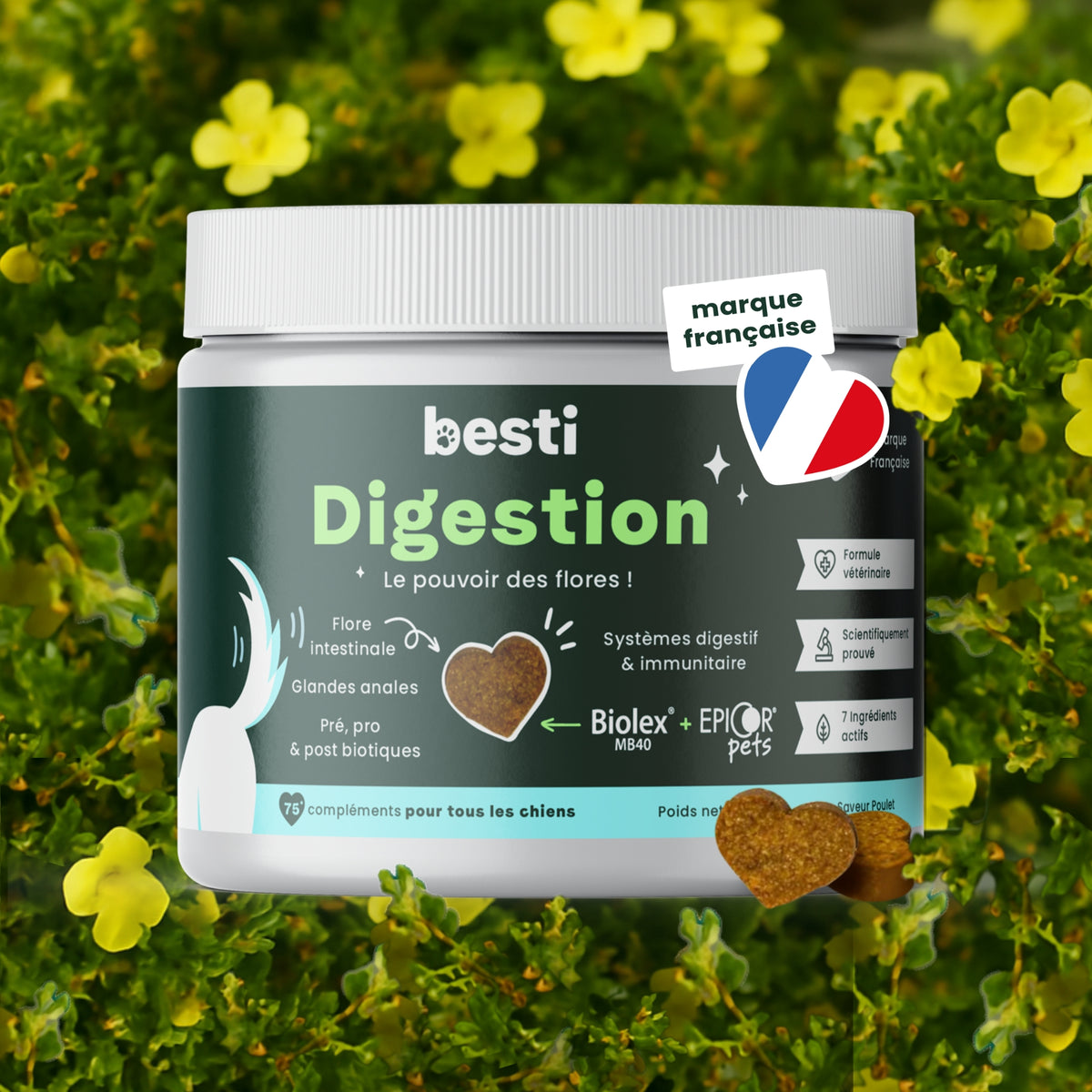 Digestion