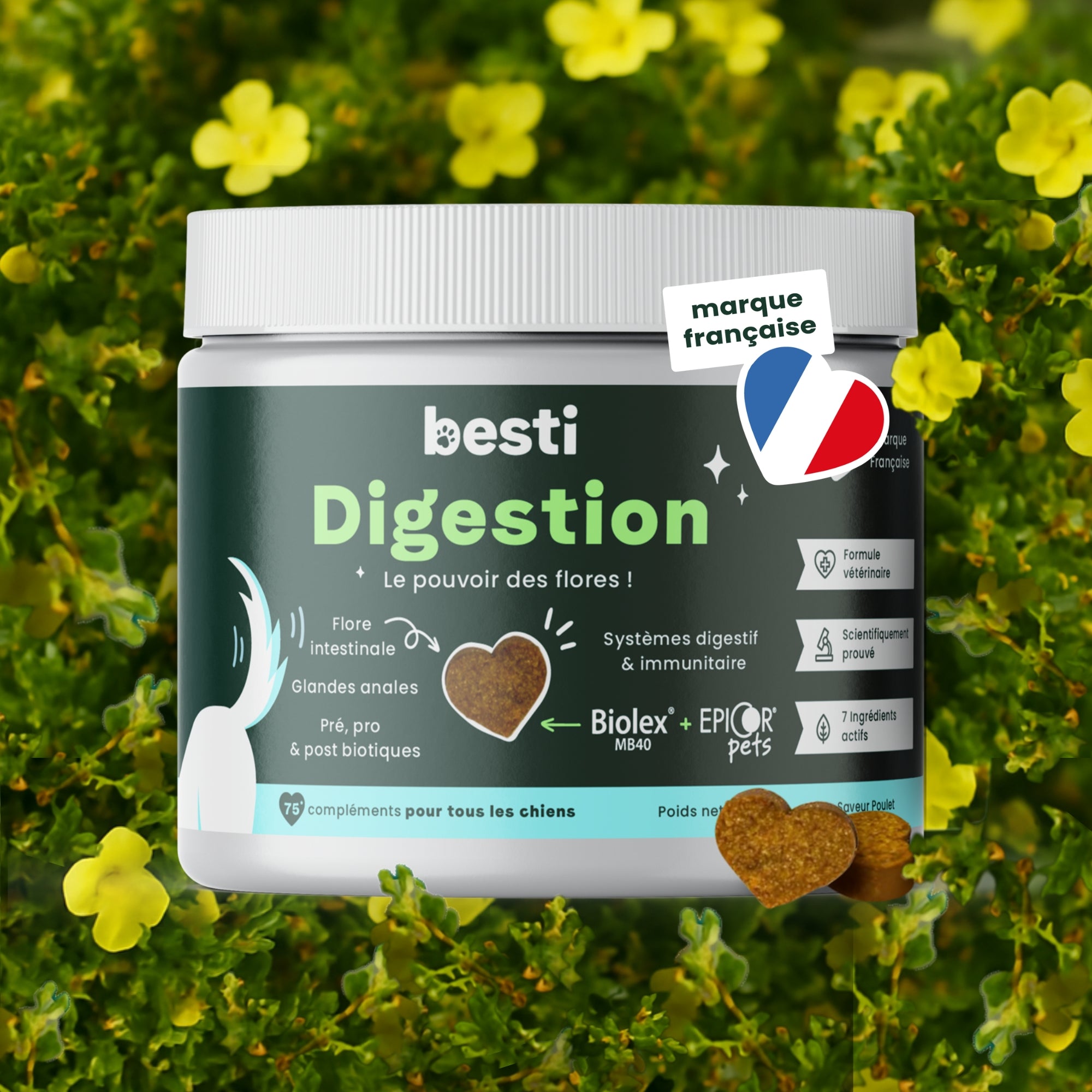 Digestion