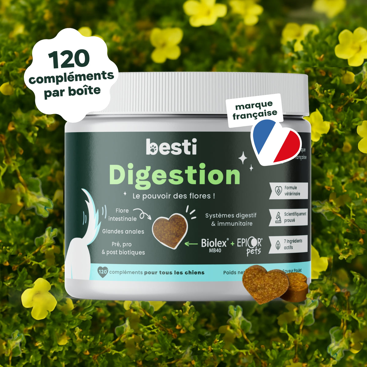 Complément Digestion