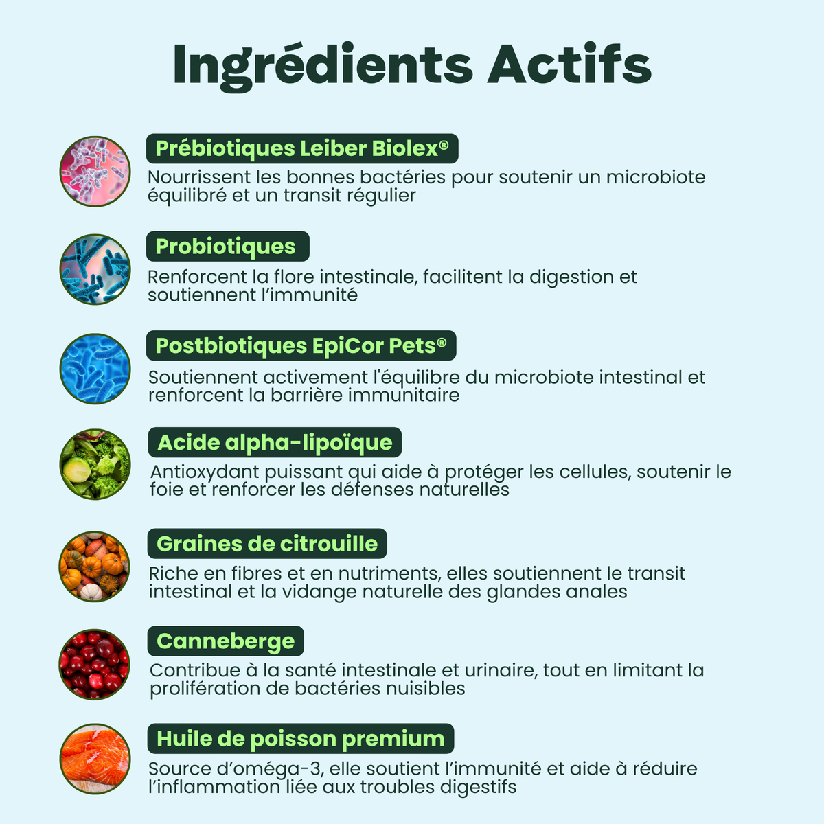 Digestion