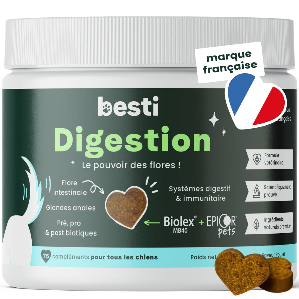 Digestion