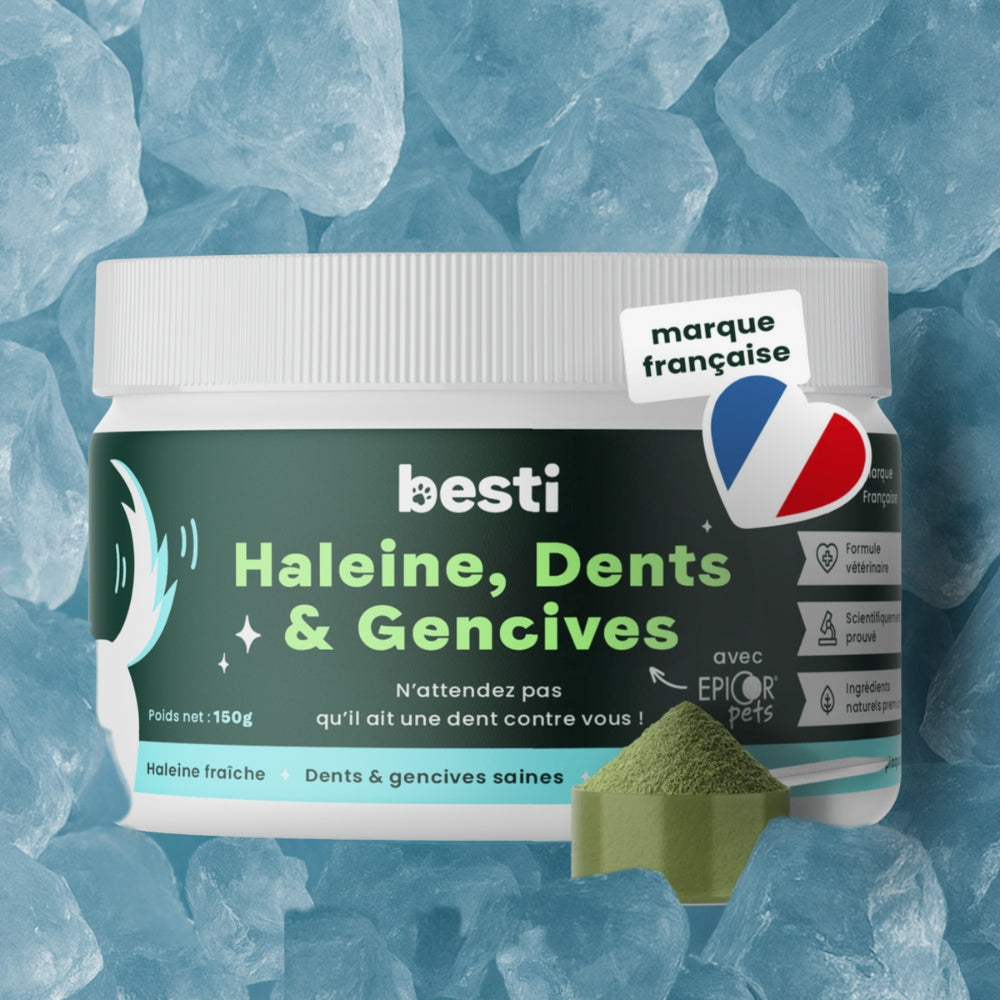 Haleine, Dents & Gencives