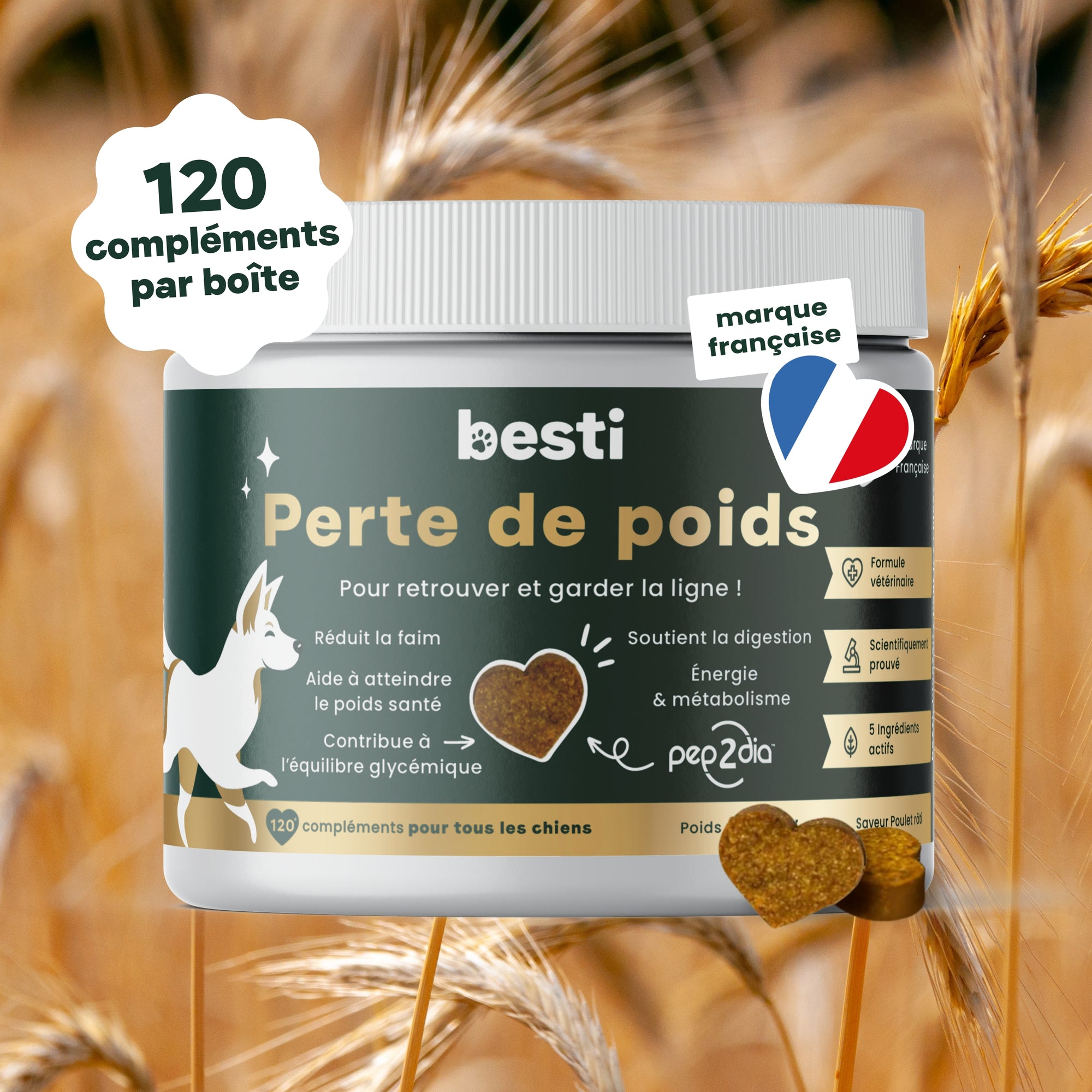 Complément Perte de Poids