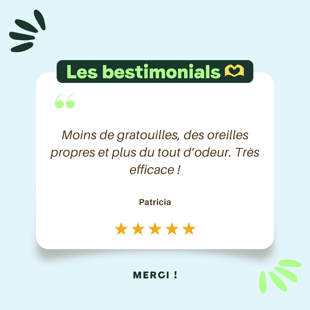 Lotion Oreilles Nettoyante & Purifiante