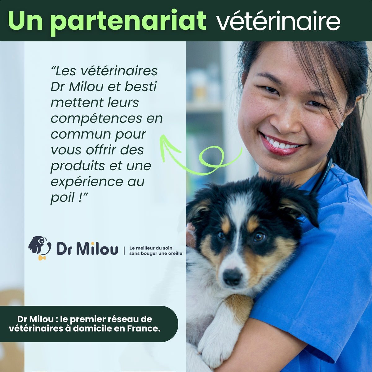 Complément Perte de Poids
